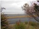 8 Sea Eagle Street, Chasm Creek TAS 7321