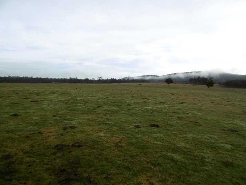 519 Felmingham Road, Parkham TAS 7304