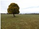 519 Felmingham Road, Parkham TAS 7304
