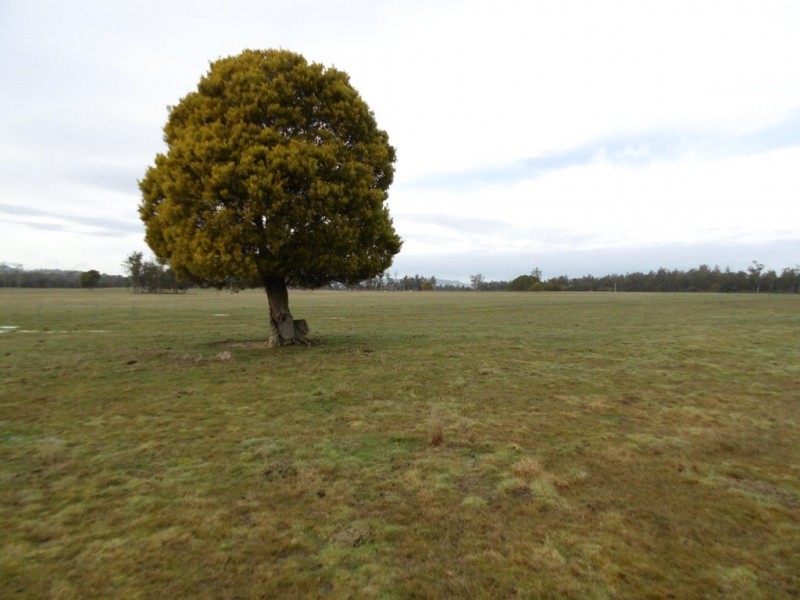 519 Felmingham Road, Parkham TAS 7304