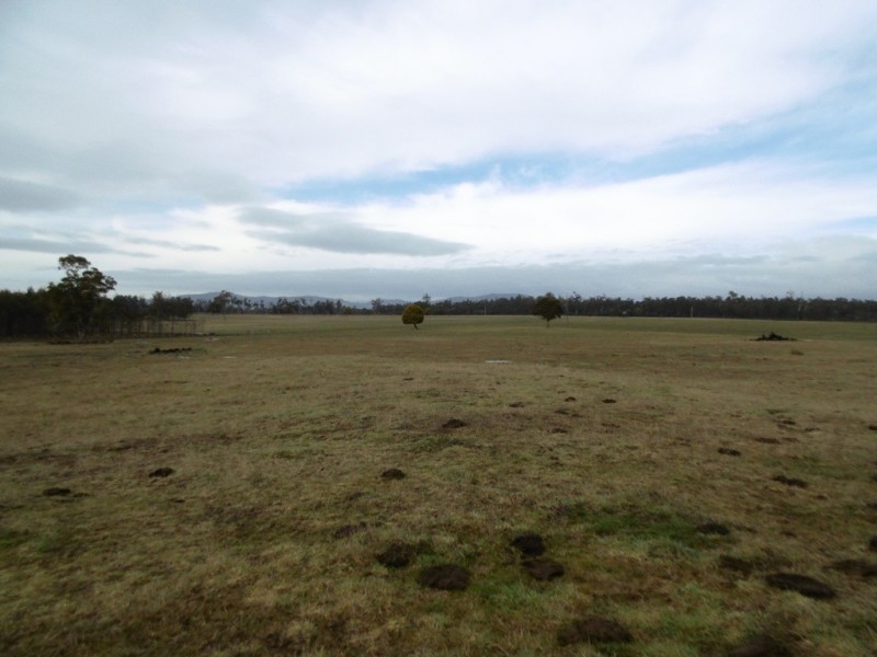 519 Felmingham Road, Parkham TAS 7304