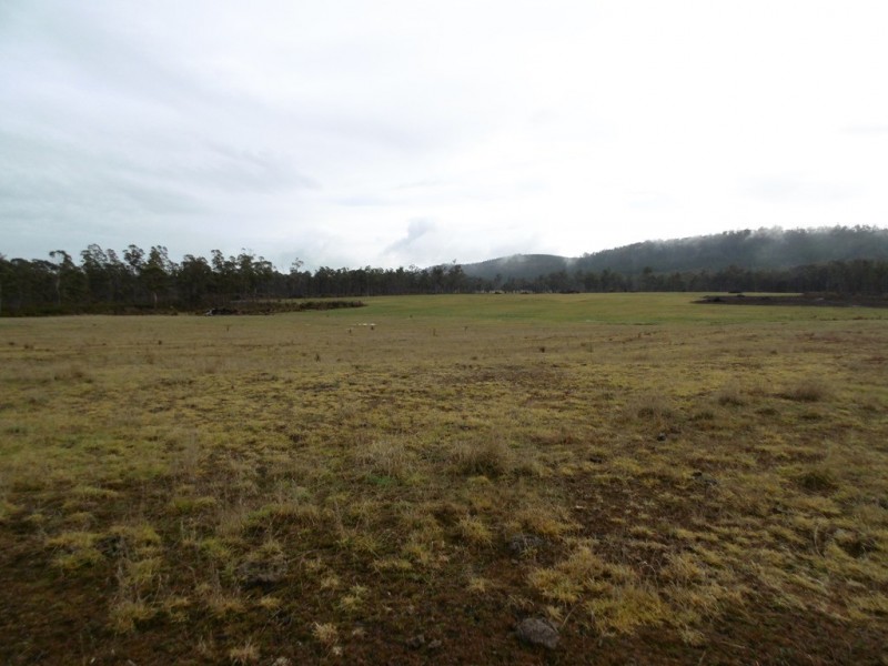 519 Felmingham Road, Parkham TAS 7304
