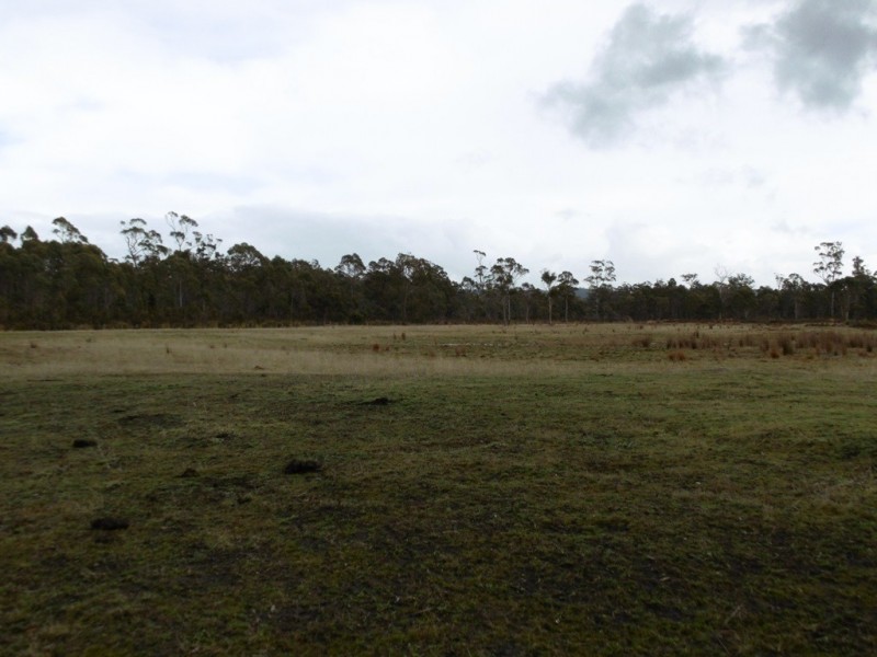 519 Felmingham Road, Parkham TAS 7304