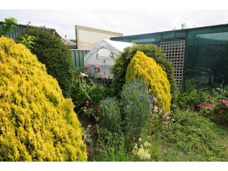 14 Ramsay Street, East Devonport TAS 7310