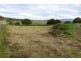 1 Back Road, Wilmot TAS 7310