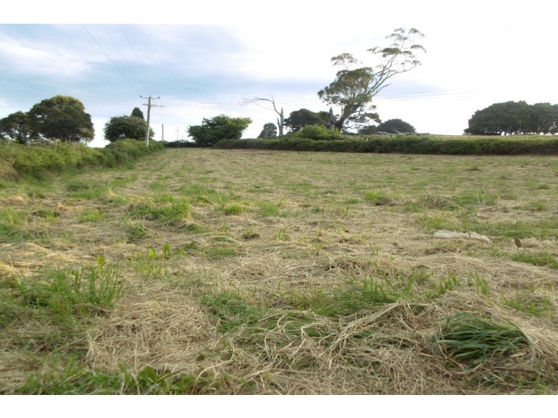 1 Back Road, Wilmot TAS 7310