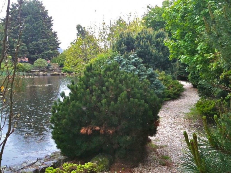 2 Riverbend Drive, Don TAS 7310