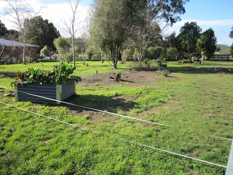 3 Vincent Cresent, Latrobe TAS 7307