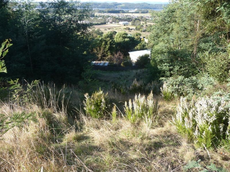 60 Laycock Road, Spreyton TAS 7310