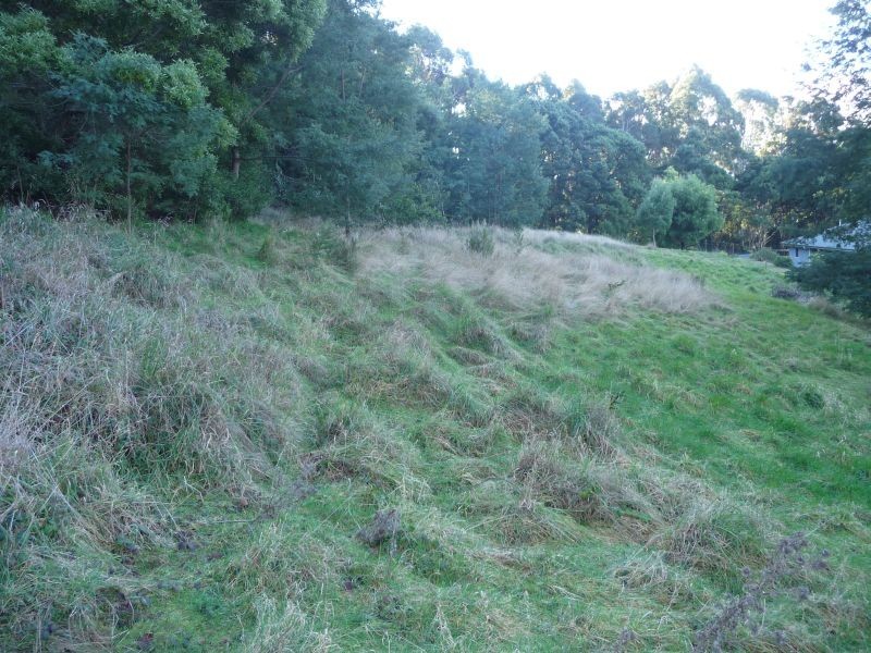 60 Laycock Road, Spreyton TAS 7310