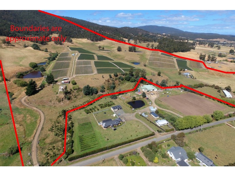 100 Slab Road, Cygnet TAS 7112
