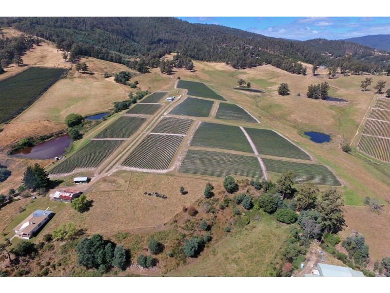 100 Slab Road, Cygnet TAS 7112