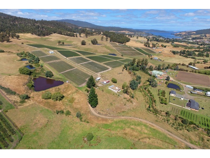 100 Slab Road, Cygnet TAS 7112
