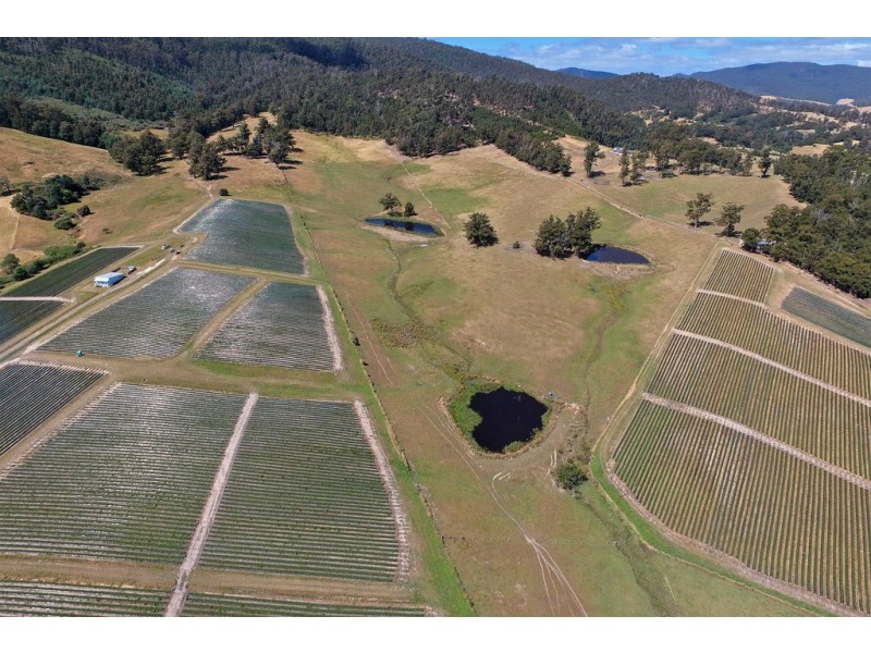 100 Slab Road, Cygnet TAS 7112