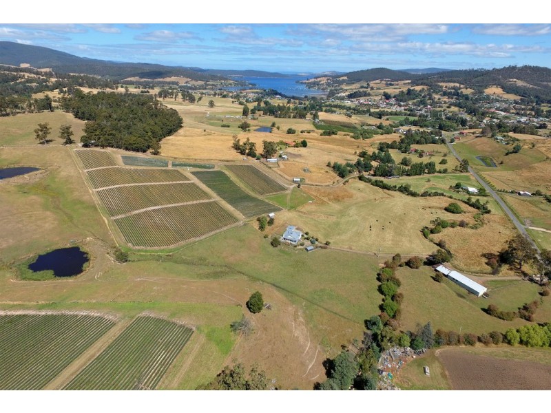 100 Slab Road, Cygnet TAS 7112