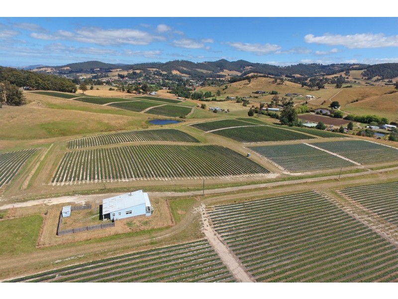 100 Slab Road, Cygnet TAS 7112