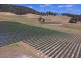 100 Slab Road, Cygnet TAS 7112