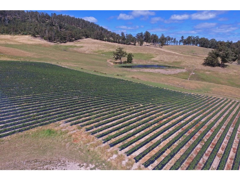 100 Slab Road, Cygnet TAS 7112