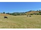 100 Slab Road, Cygnet TAS 7112