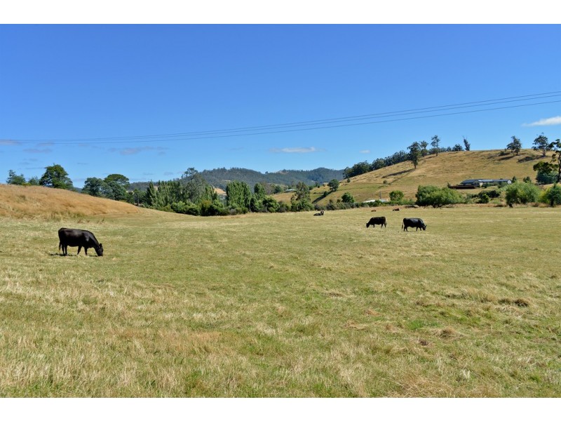 100 Slab Road, Cygnet TAS 7112