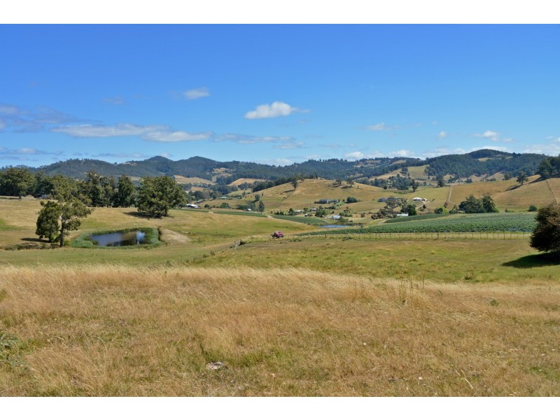 100 Slab Road, Cygnet TAS 7112