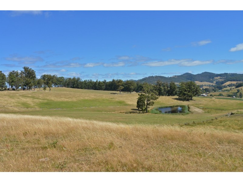 100 Slab Road, Cygnet TAS 7112