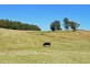 100 Slab Road, Cygnet TAS 7112