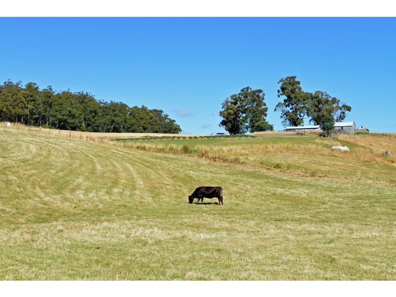 100 Slab Road, Cygnet TAS 7112