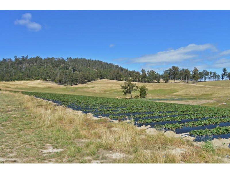 100 Slab Road, Cygnet TAS 7112