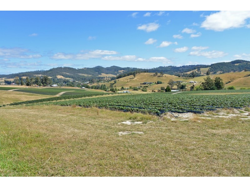 100 Slab Road, Cygnet TAS 7112