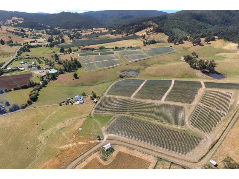 100 Slab Road, Cygnet TAS 7112