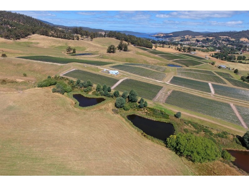 100 Slab Road, Cygnet TAS 7112