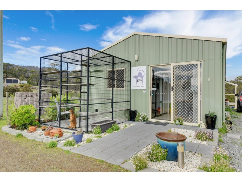 56 Kathleen Drive, Old Beach TAS 7017
