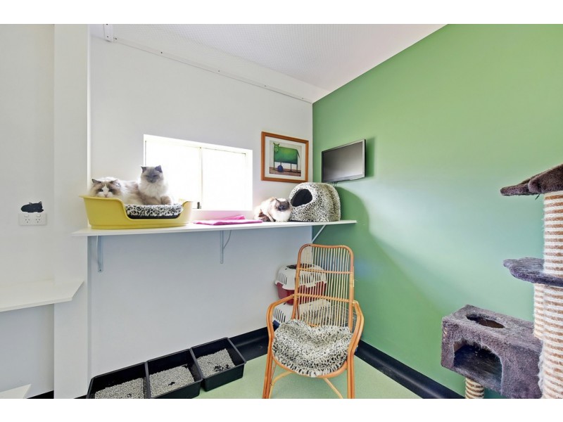 56 Kathleen Drive, Old Beach TAS 7017