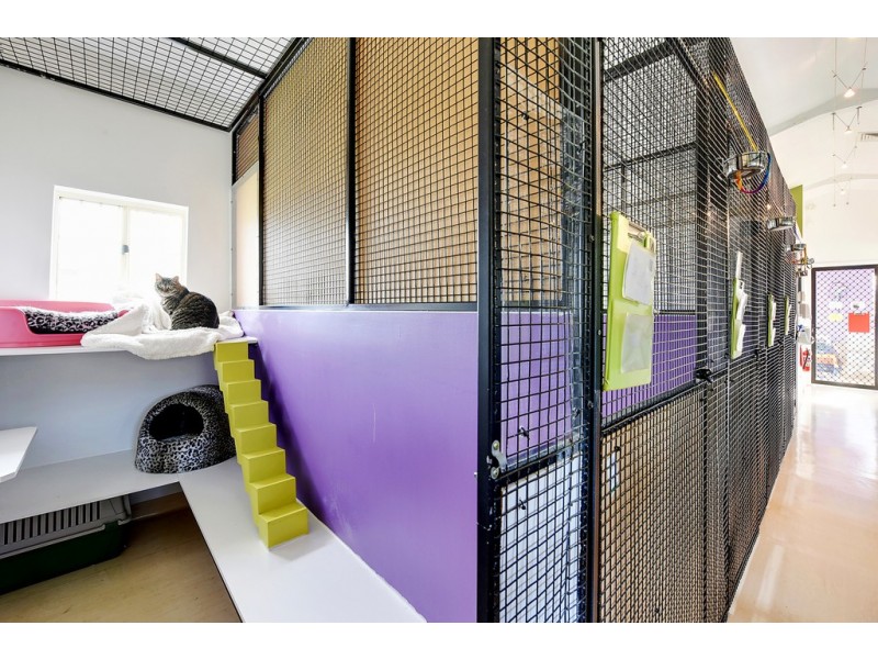 56 Kathleen Drive, Old Beach TAS 7017