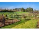 4 Blackwood Grove, Margate TAS 7054