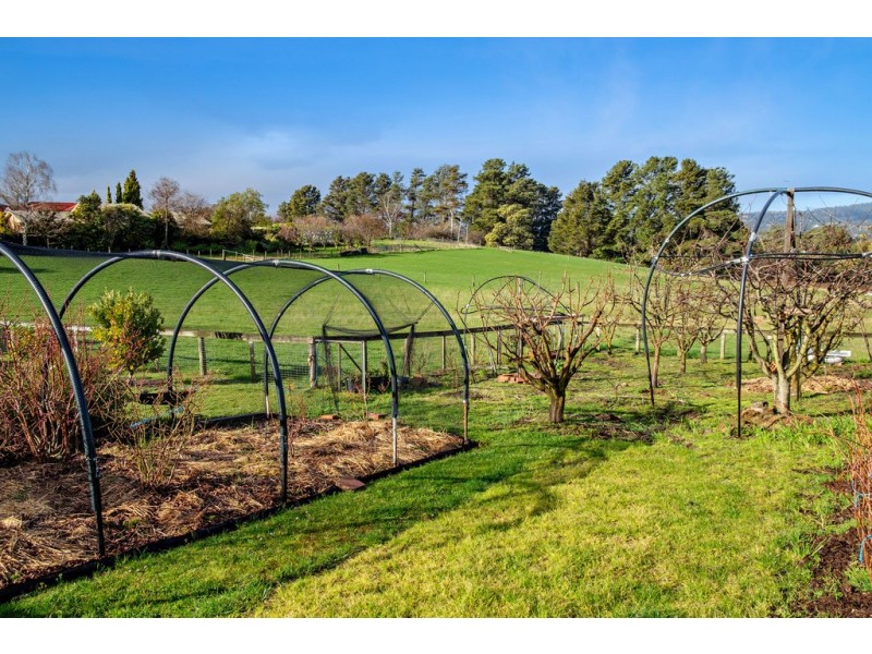 4 Blackwood Grove, Margate TAS 7054