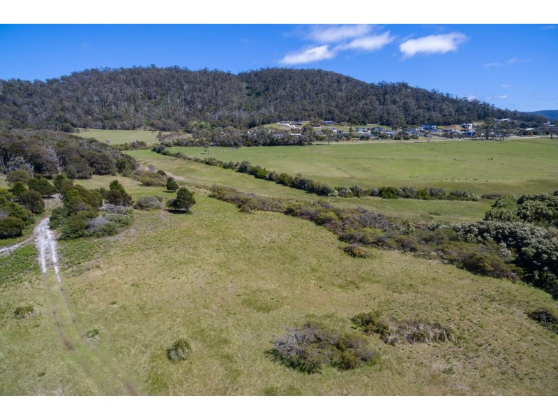 Redbill – 39 Tasman Highway, Bicheno TAS 7215