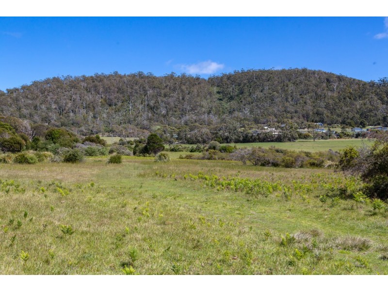 Redbill – 39 Tasman Highway, Bicheno TAS 7215