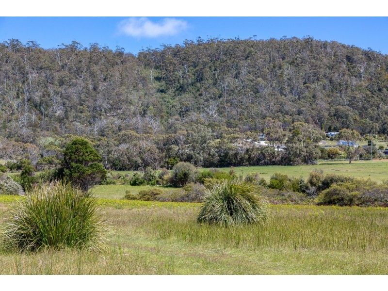 Redbill – 39 Tasman Highway, Bicheno TAS 7215