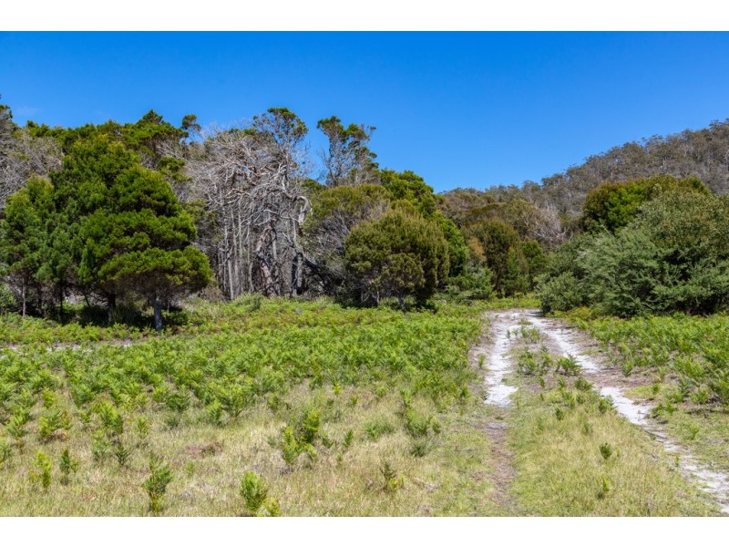 Redbill – 39 Tasman Highway, Bicheno TAS 7215