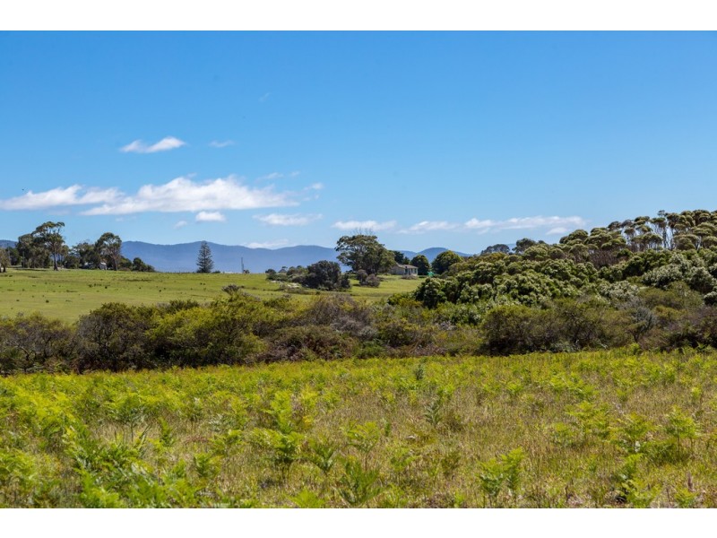 Redbill – 39 Tasman Highway, Bicheno TAS 7215