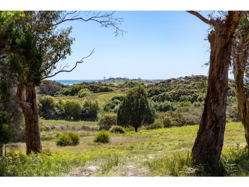 Redbill – 39 Tasman Highway, Bicheno TAS 7215
