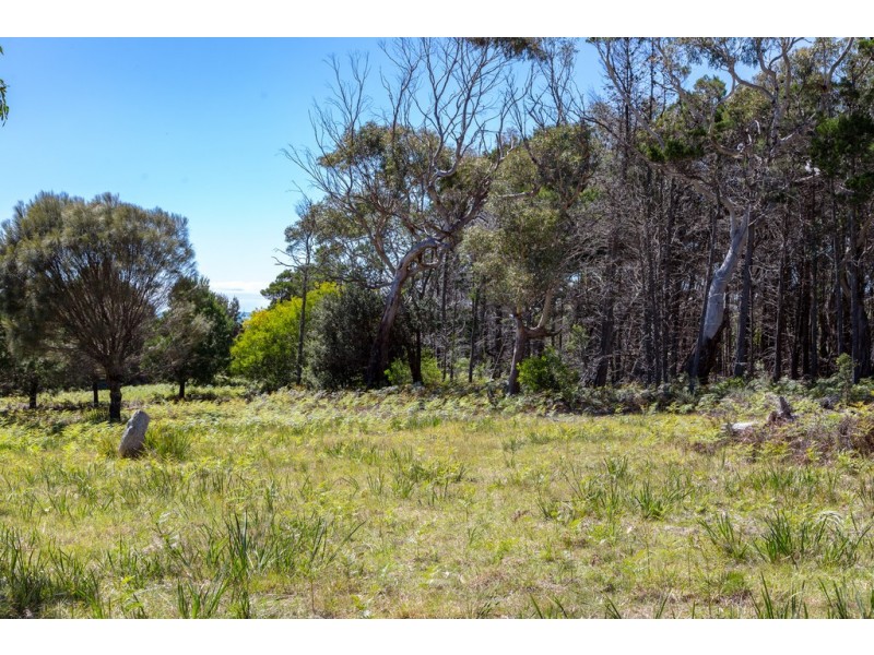Redbill – 39 Tasman Highway, Bicheno TAS 7215