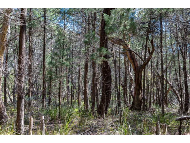 Redbill – 39 Tasman Highway, Bicheno TAS 7215