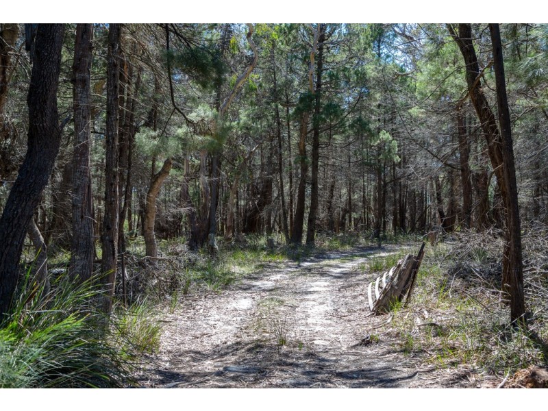 Redbill – 39 Tasman Highway, Bicheno TAS 7215