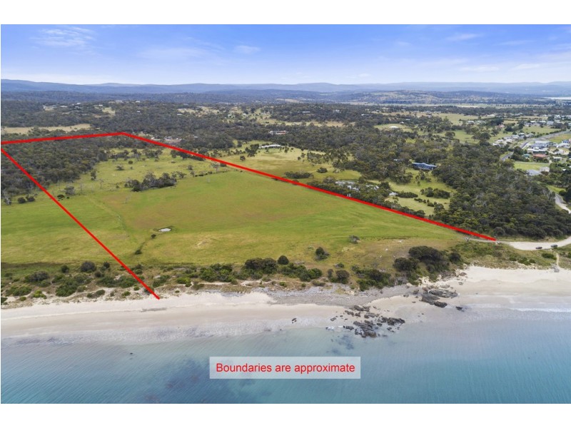 13054 Tasman Highway, Swansea TAS 7190