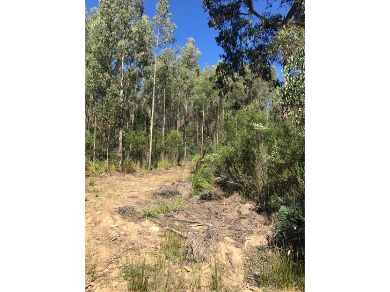 Lot 1 Smiths Road, Moogara TAS 7140