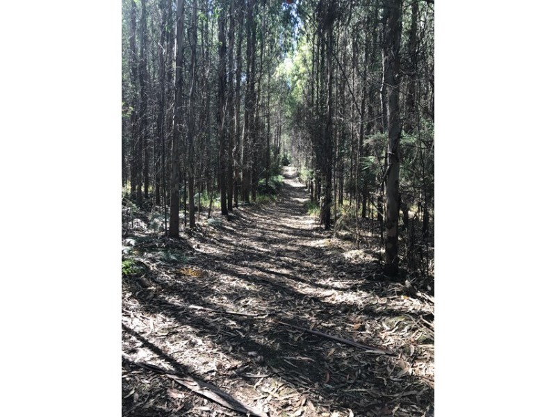 Lot 1 Smiths Road, Moogara TAS 7140