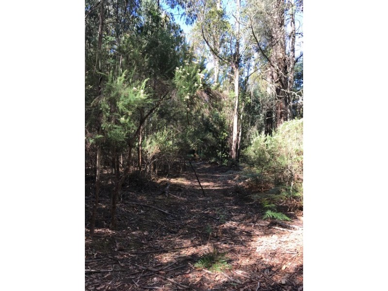 Lot 1 Smiths Road, Moogara TAS 7140